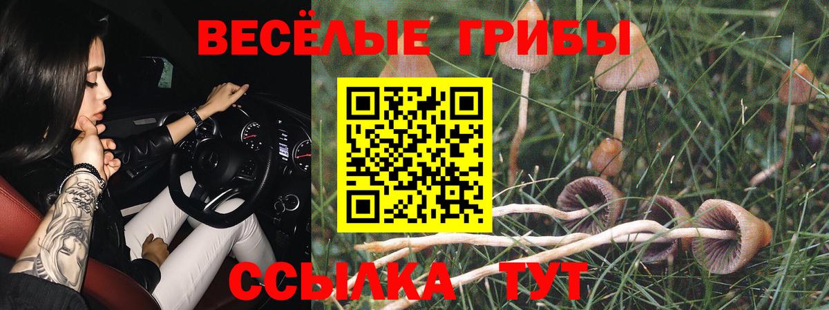 Галлюциногенные грибы Cubensis Омск